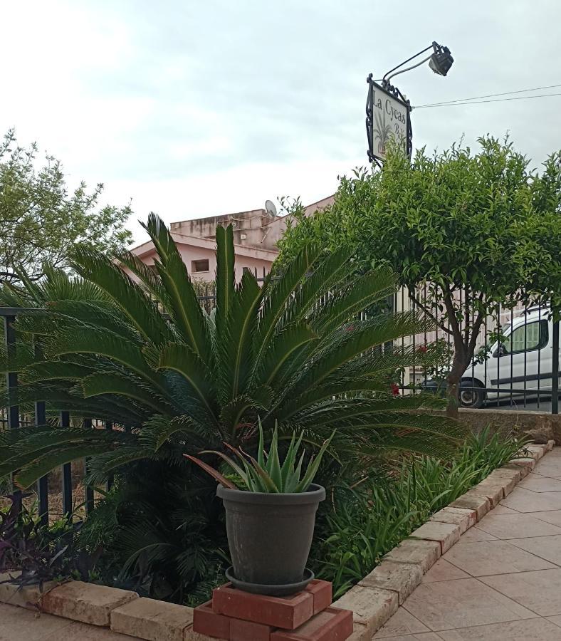 Bed and Breakfast La Cycas Trabia Exterior foto